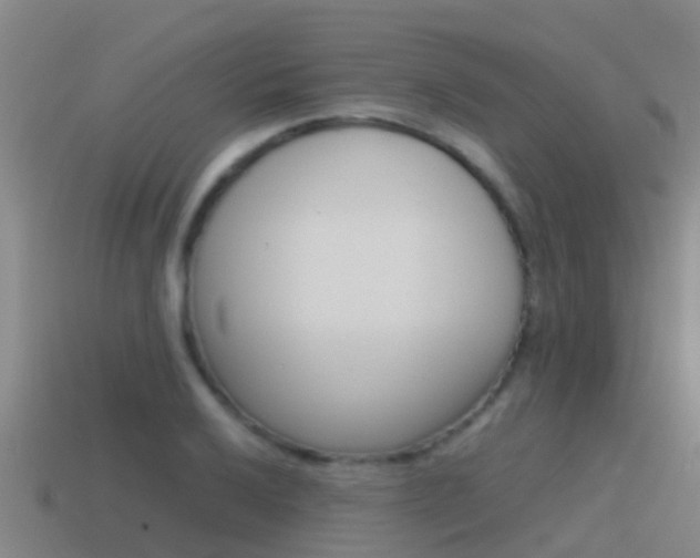 X0000115501032200911061018