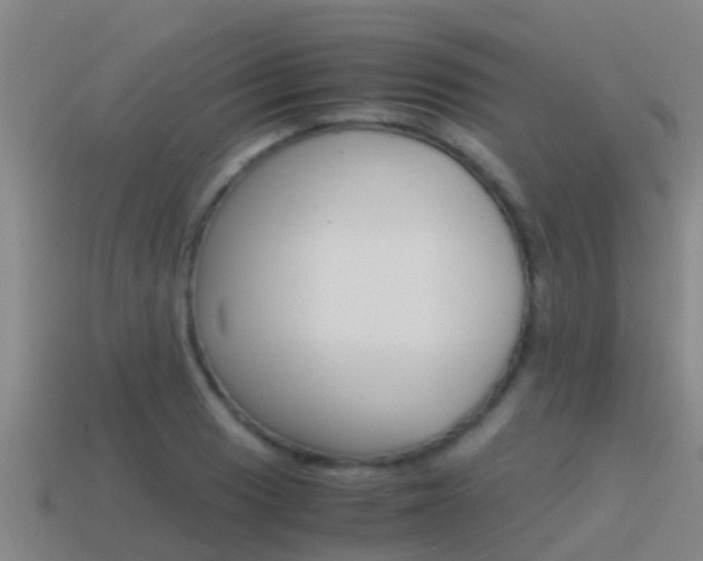 X0000115501033200911061018