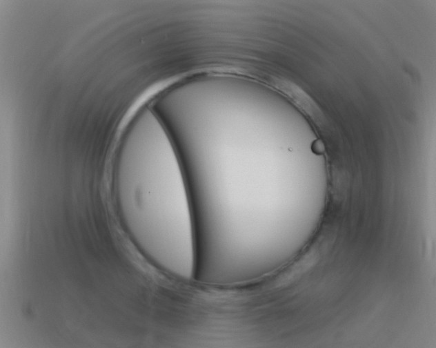 X0000115501036200911061018