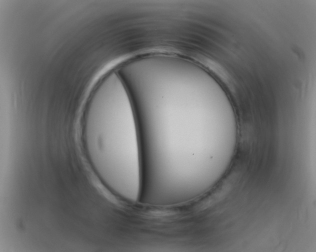 X0000115501037200911061018