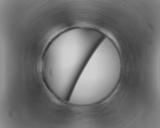 X0000115501040200911061018