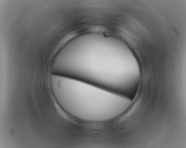 X0000115501041200911061018