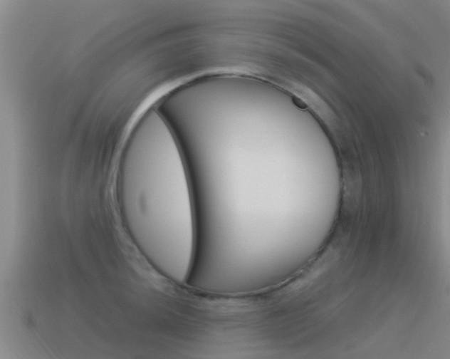 X0000115501044200911061018