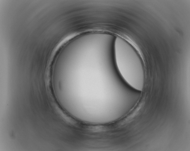 X0000115501045200911061018