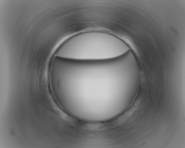 X0000115501046200911061018