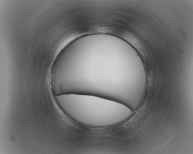 X0000115501047200911061018
