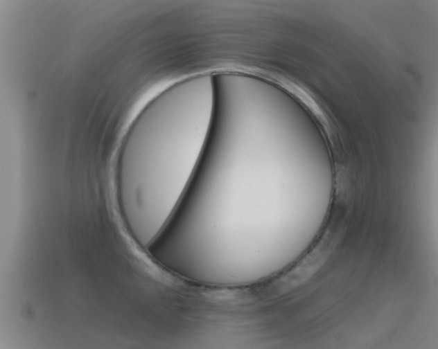 X0000115501048200911061018