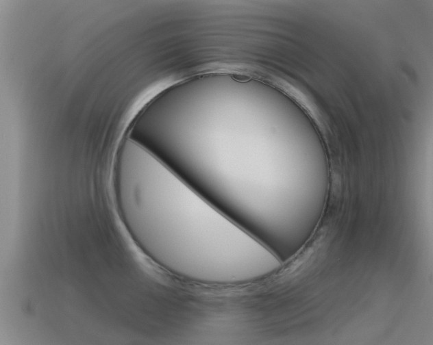X0000115501050200911061018