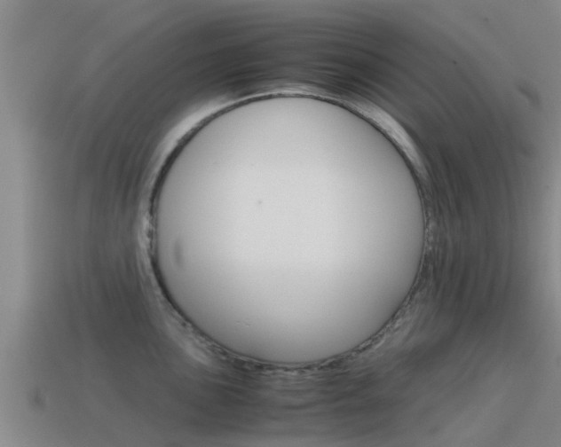 X0000115501051200911061018