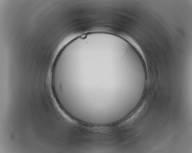 X0000115501053200911061018