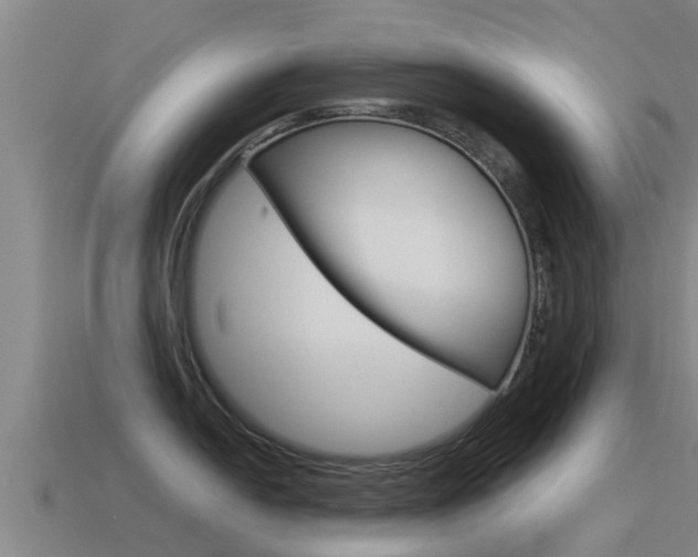 X0000115501054200911061018