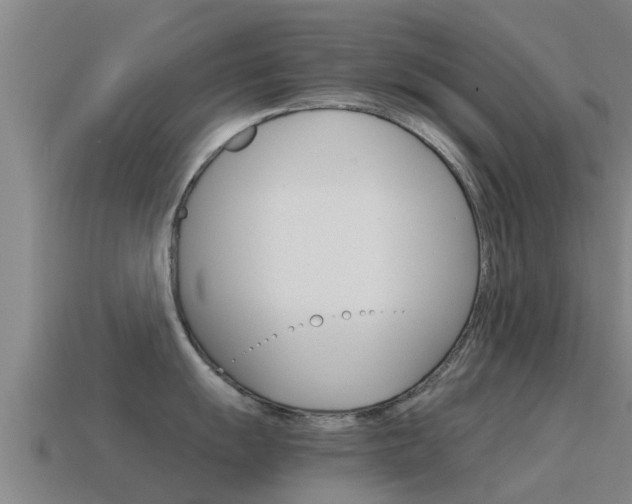 X0000115501055200911061018