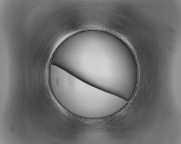X0000115501056200911061018