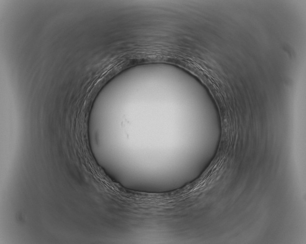 X0000115501057200911061018