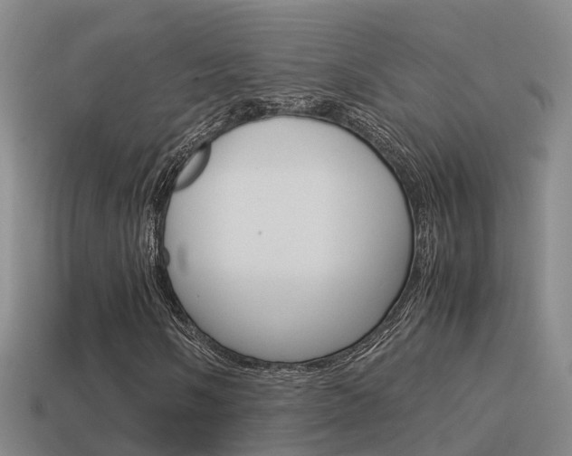 X0000115501058200911061018