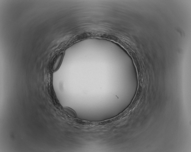 X0000115501061200911061018