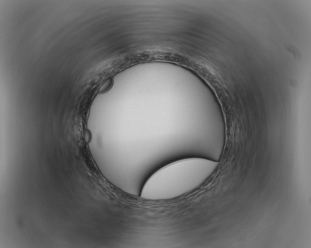 X0000115501062200911061018