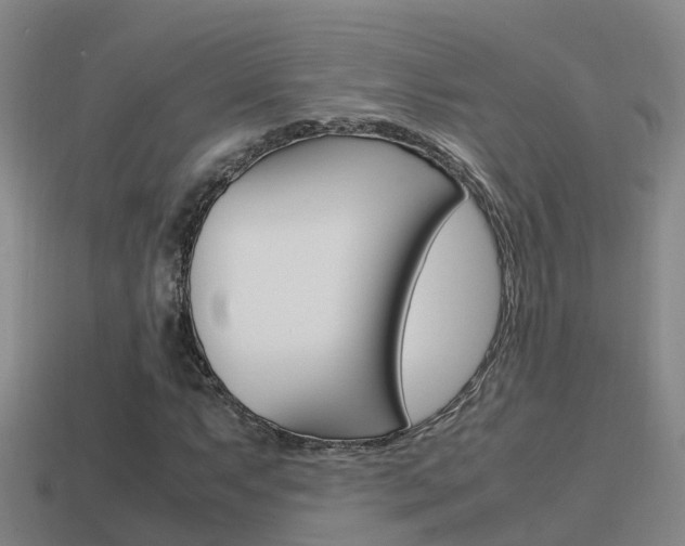 X0000115501063200911061018