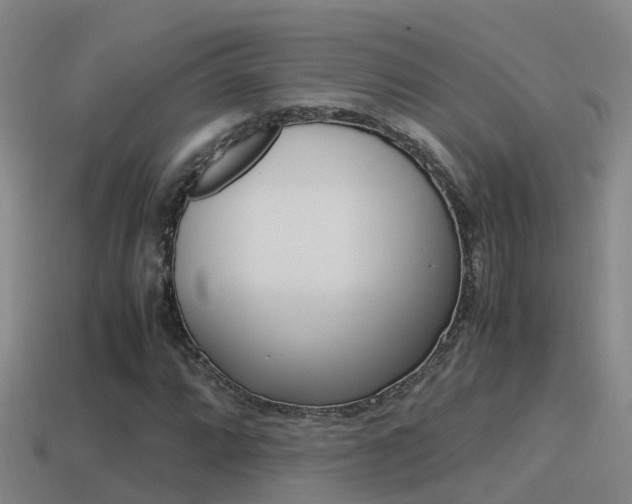 X0000115501064200911061018