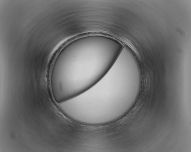 X0000115501068200911061018