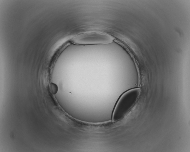 X0000115501069200911061018
