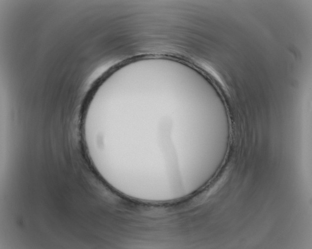X0000115501071200911061018