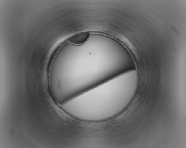 X0000115501072200911061018