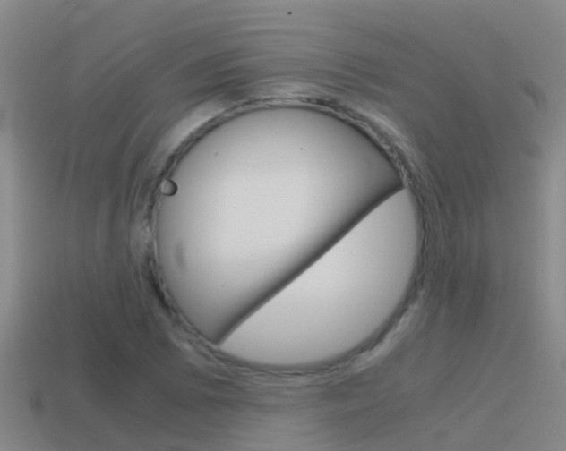 X0000115501073200911061018