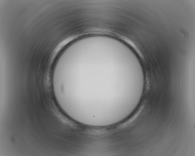 X0000115501074200911061018