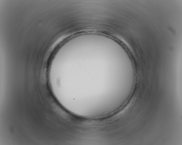 X0000115501075200911061018