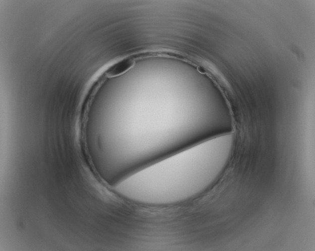 X0000115501076200911061018