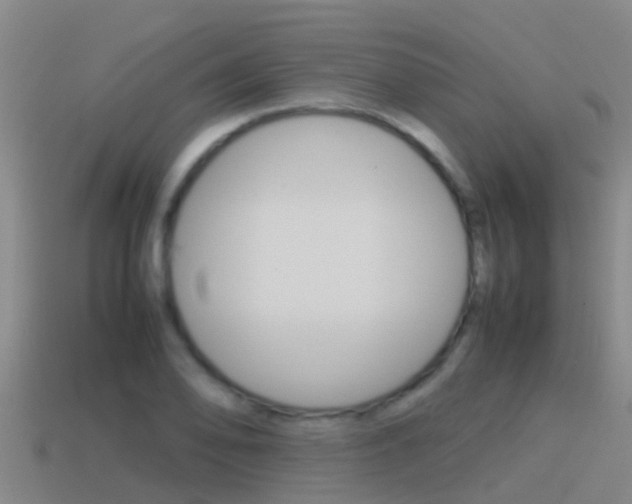 X0000115501078200911061018