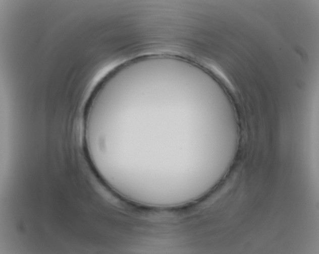 X0000115501079200911061018
