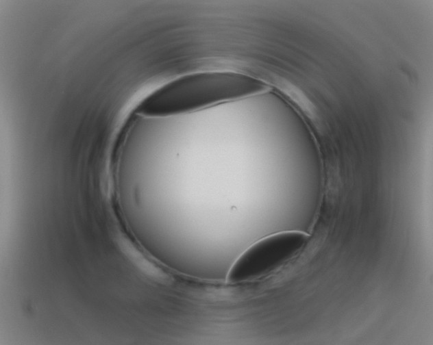 X0000115501080200911061018