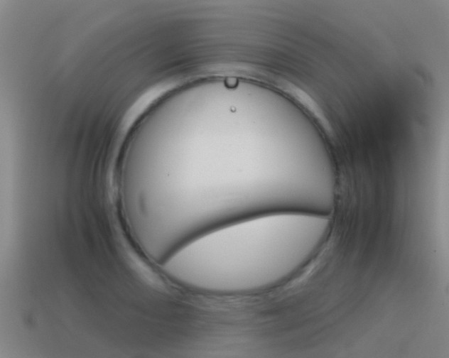 X0000115501082200911061018