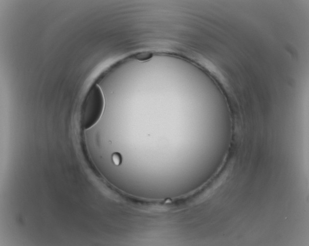 X0000115501085200911061018