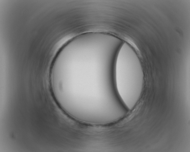X0000115501087200911061017