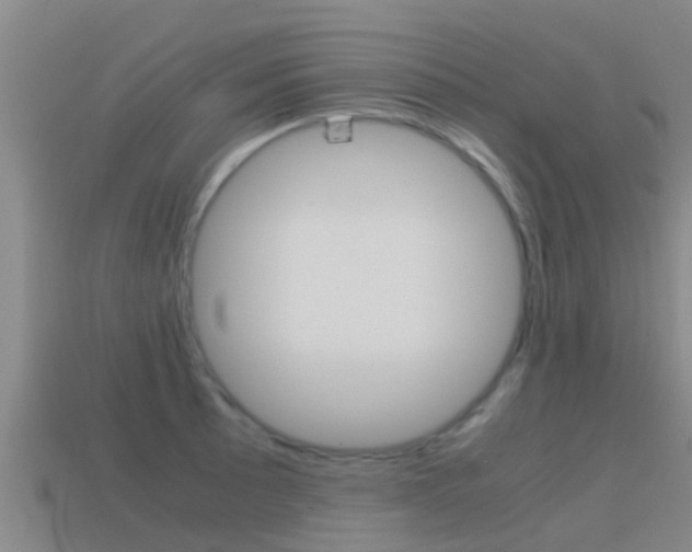 X0000115501089200911061017