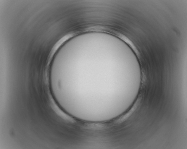 X0000115501090200911061017