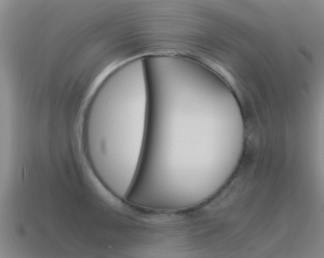 X0000115501091200911061017
