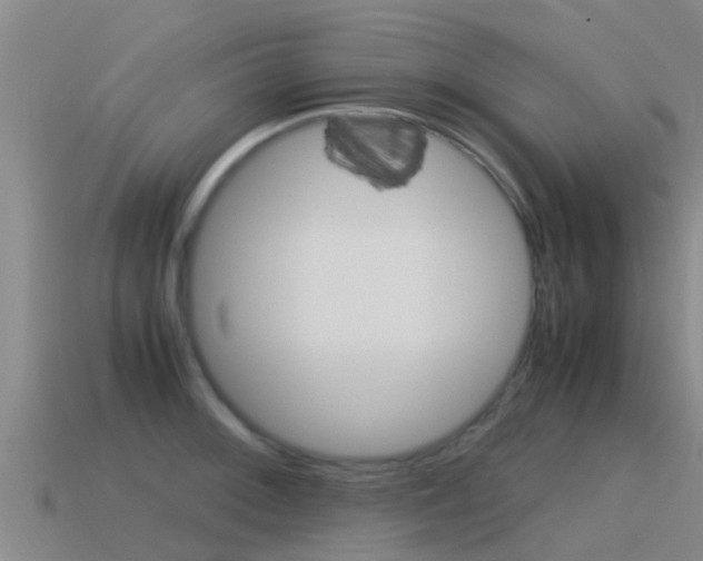 X0000115501092200911061017