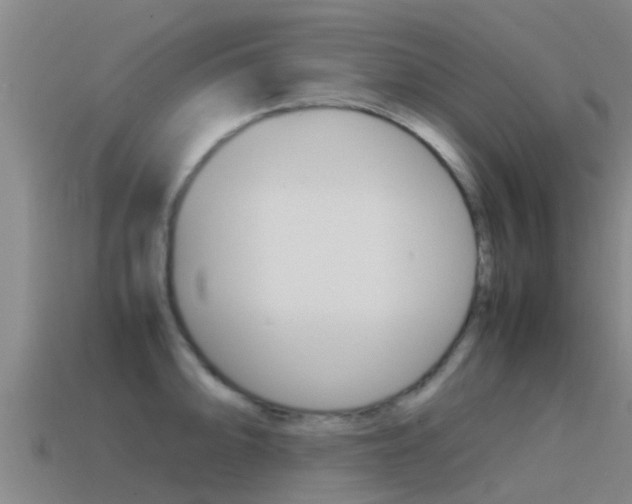 X0000115501094200911061017