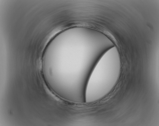 X0000115501095200911061017