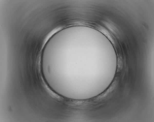 X0000115501098200911061017