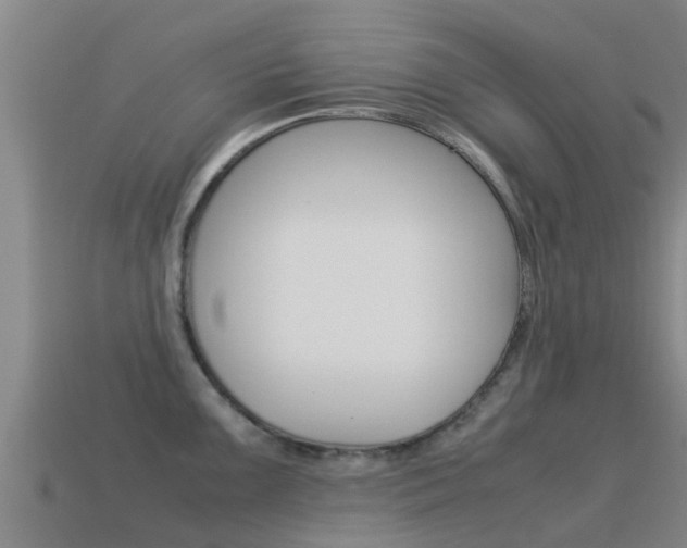 X0000115501099200911061017