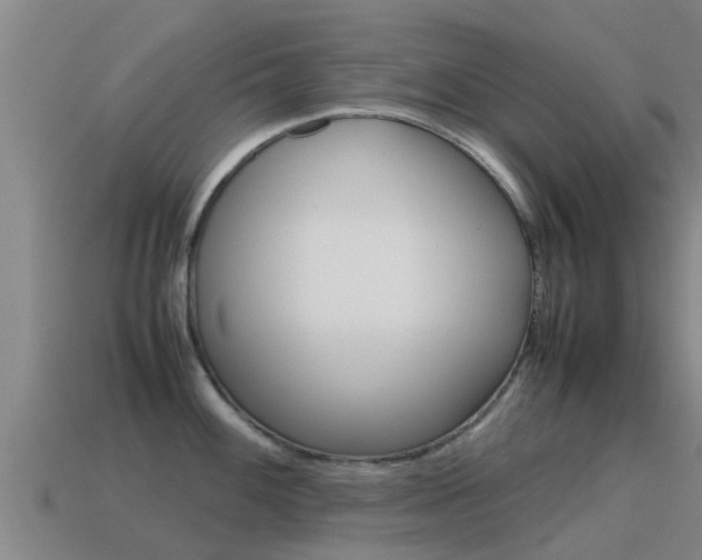 X0000115501100200911061017