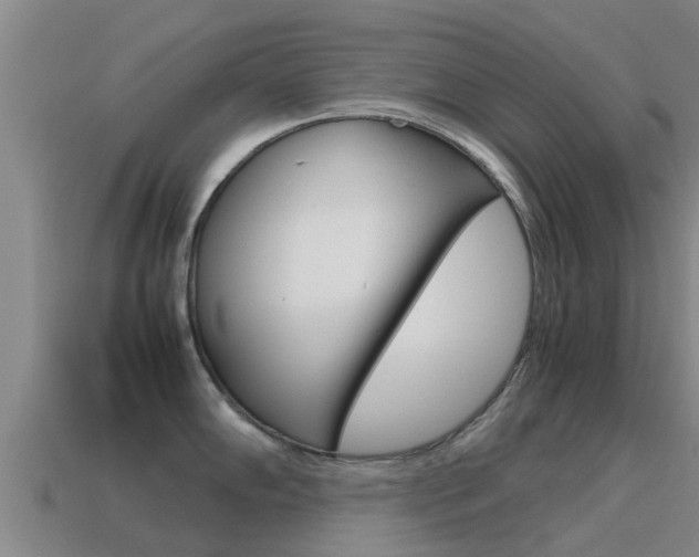 X0000115501102200911061017