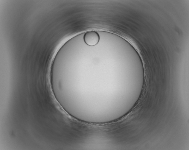 X0000115501104200911061017