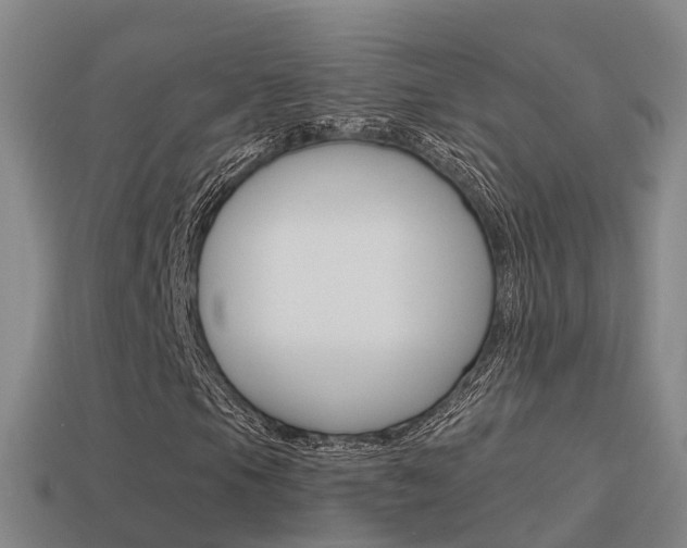 X0000115501105200911061016
