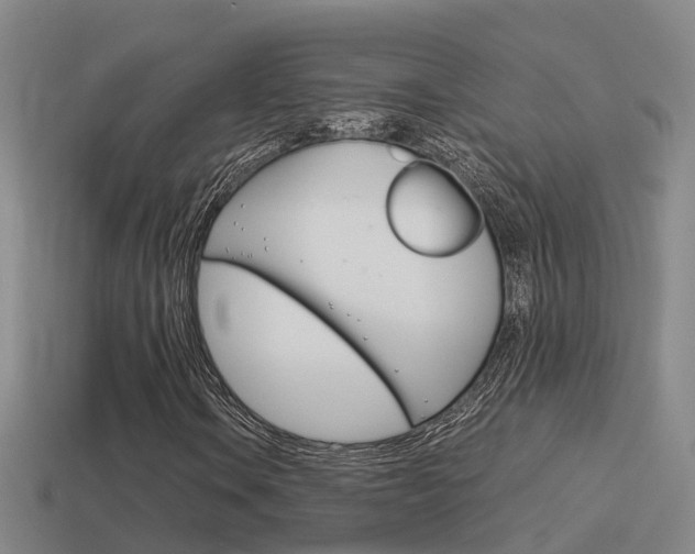 X0000115501106200911061016